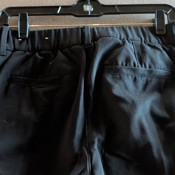 American Eagle Flat Wide Leg Pant - Picture 14 of 14